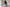 shutterstock 1770277580