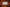 shutterstock 1787850515