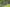 shutterstock 193186526
