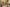 paulette-wooten-223050-unsplash