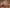 tyler-delgado-497539-unsplash