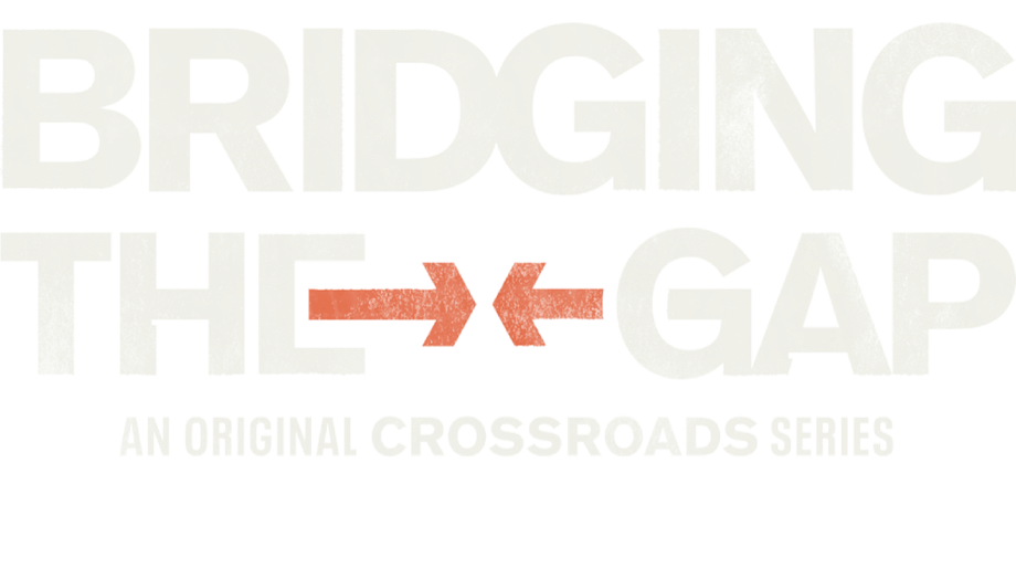 Bridging the Gap logo