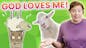 Jesus Loves Me! | The Lost Sheep | Kids' Club Younger