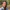 Chris Mester