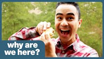 Why Are We Here? | BIG Questions | Older Kids' Club