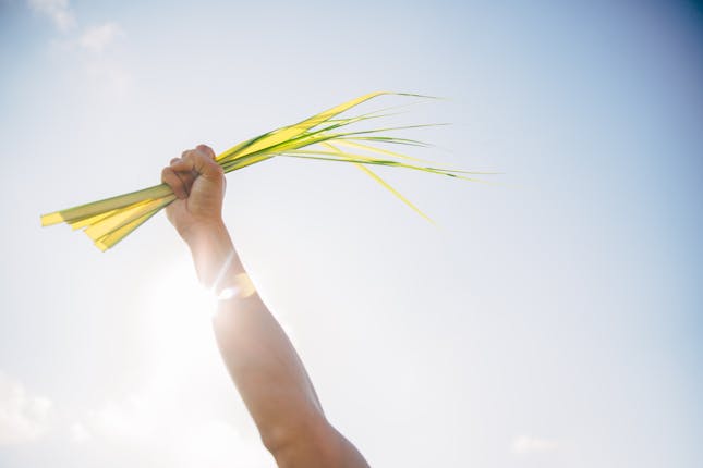 Jesus shows us the importance and symbolism of Palm Sunday